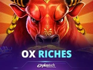 Ox Riches game screenshot